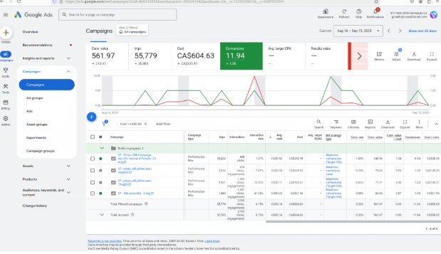 ROAS before ads optimization