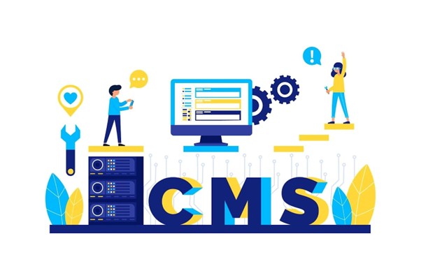  CMS SEO audit illustration showing teams reviewing website performance and technical settings.